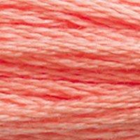 Close up of DMC stranded cotton shade 3341 Peach