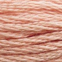 Close up of DMC stranded cotton shade 3771 Sandy Rose