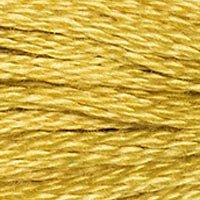 Close up of DMC stranded cotton shade 3820 Maze Yellow