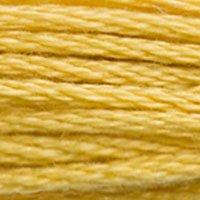 3821 Straw Yellow