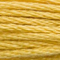 Close up of DMC stranded cotton shade 3821 Straw Yellow