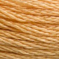 Close up of DMC stranded cotton shade 3827 Beech Brown