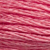Close up of DMC stranded cotton shade 3833 Light Strawberry