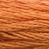 Close up of DMC stranded cotton shade 3853 Copper
