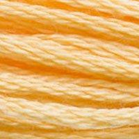 Close up of DMC stranded cotton shade 3855 Autumn Gold