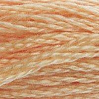Close up of DMC stranded cotton shade 3856 Pale Beechwood