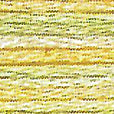4080-Daffodil