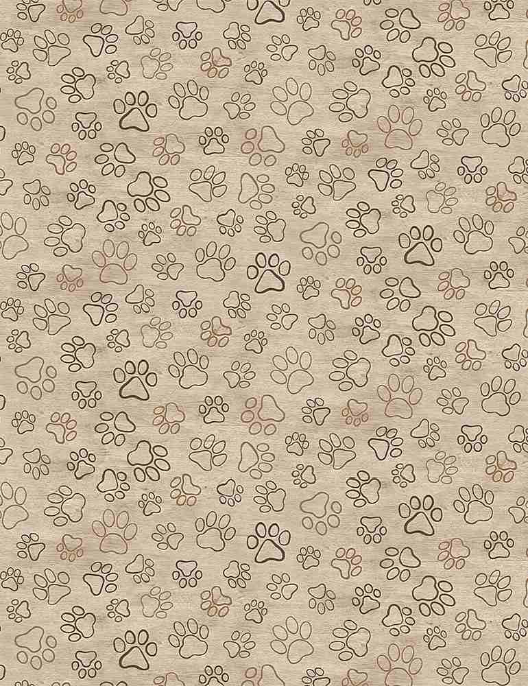 Cats & Dogs