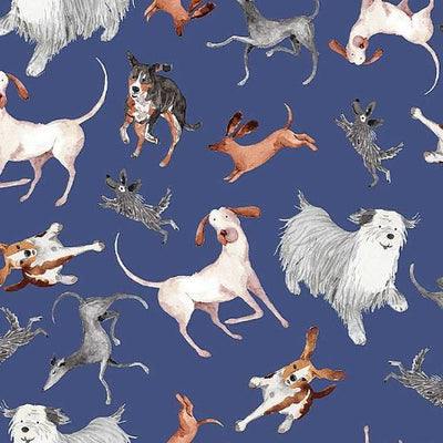 Cats & Dogs