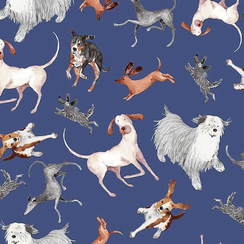 Cats & Dogs