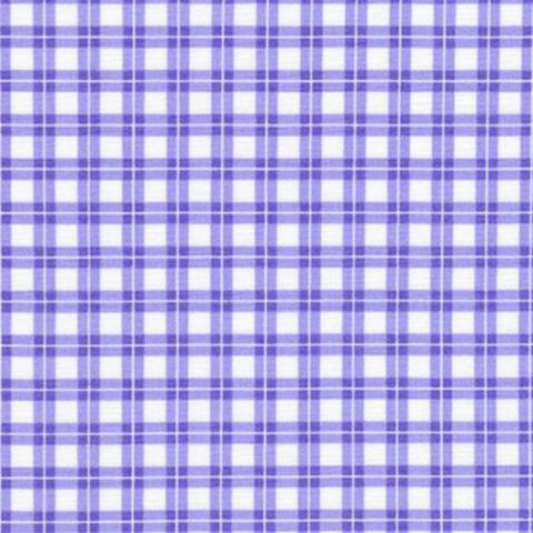 Blue and Purple Blenders 2