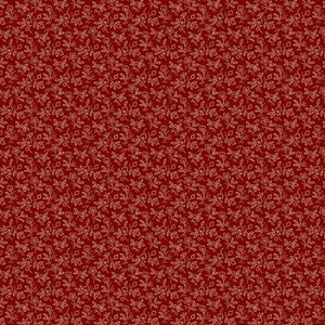 R1718 - Red Ann's Nightgown