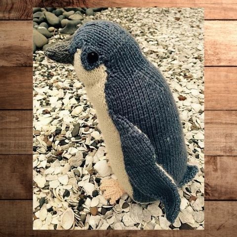 Darwin the Little Blue Penguin Knitting Pattern