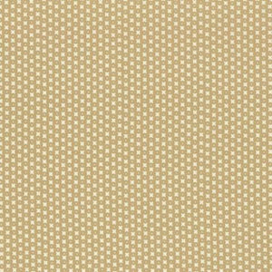 37576-15 beige/white
