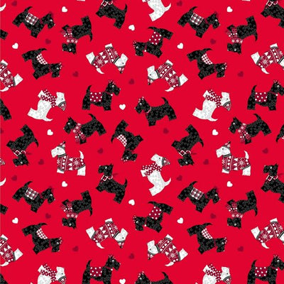 Cats & Dogs