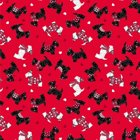 Cats & Dogs
