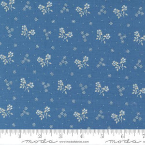 14934-14 Calico MEDBLU