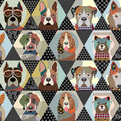 Cats & Dogs
