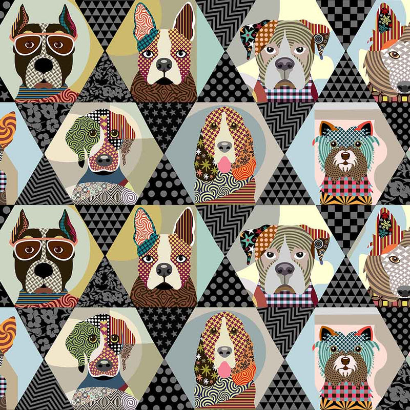 Cats & Dogs