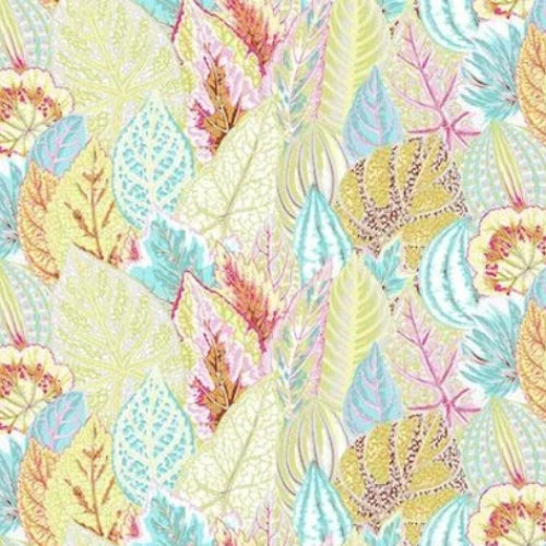 Kaffe Fassett Collective