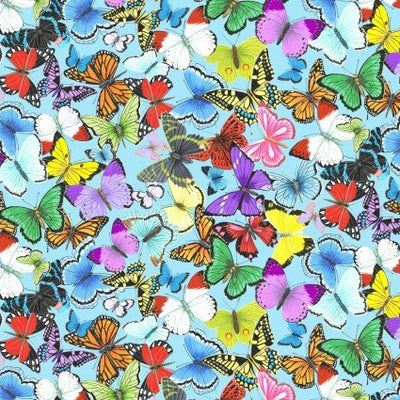 Wildlife, Birds & Insects