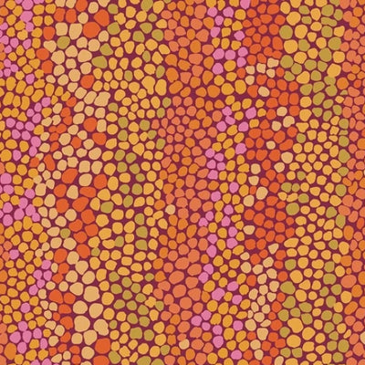 Kaffe Fassett Collective