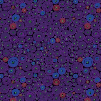 Kaffe Fassett Collective