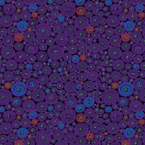 Kaffe Fassett Collective