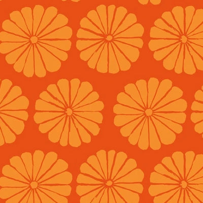 Kaffe Fassett Collective