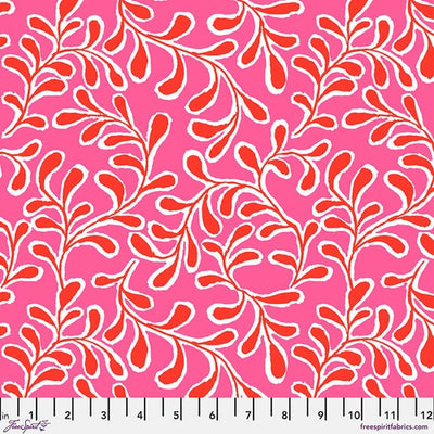 Kaffe Fassett Collective