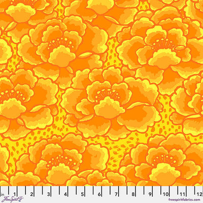 Kaffe Fassett Collective