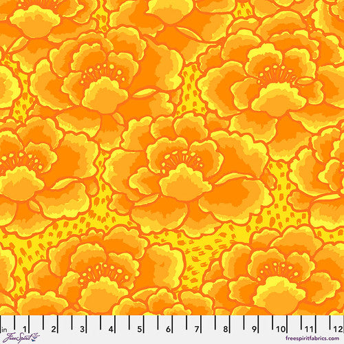 Kaffe Fassett Collective