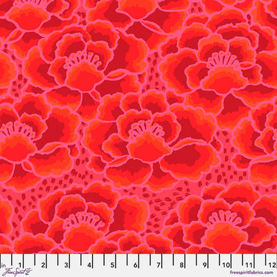 Kaffe Fassett Collective