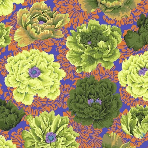 Kaffe Fassett Collective