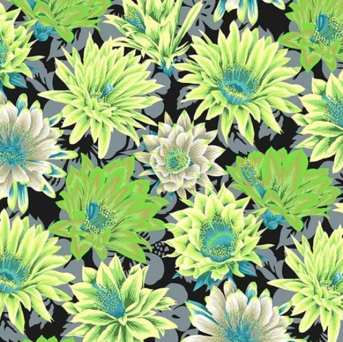 Kaffe Fassett Collective