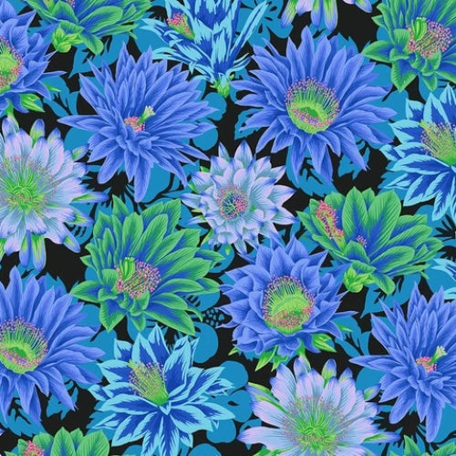 Kaffe Fassett Collective