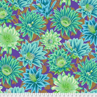 Kaffe Fassett Collective