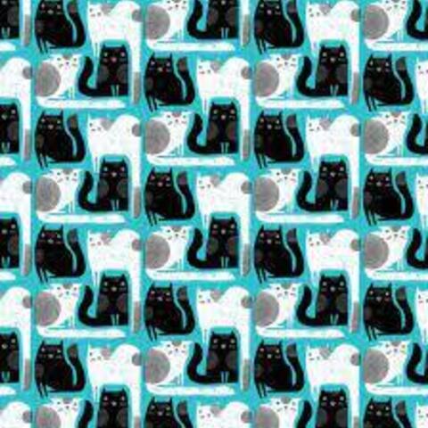 Cats & Dogs