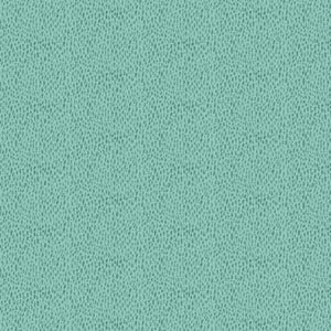 R210155 Lt Aqua Studio37