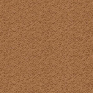 R210155-Lt Brown Studio37