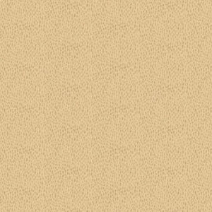 R210155 Lt Tan Speckles