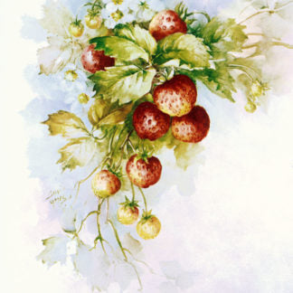 Embroidery Panels and Kits- Di Van Niekerk - Watercolours Panels and Kits