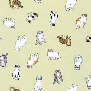 850361D1 Cats Ivory