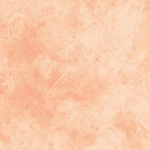 Peach and Coral -  Solid and Semi-Solid Blenders