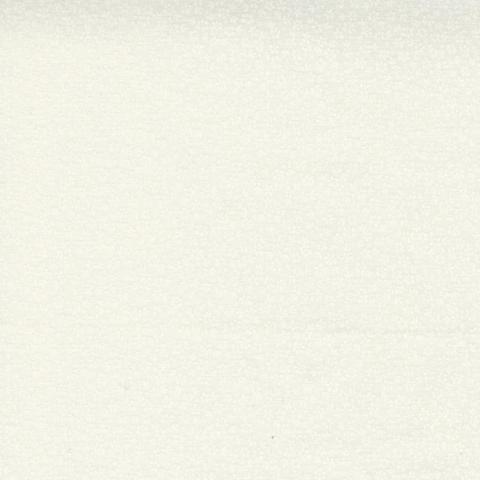 Cream/Beige - General Blenders