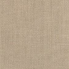 Summer Khaki