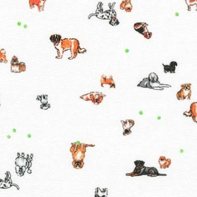 Cats & Dogs