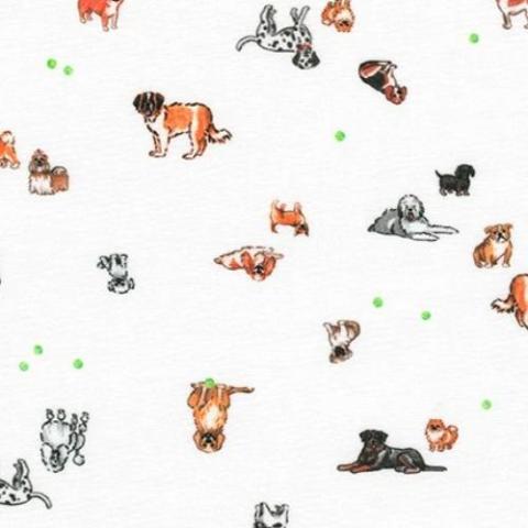Cats & Dogs