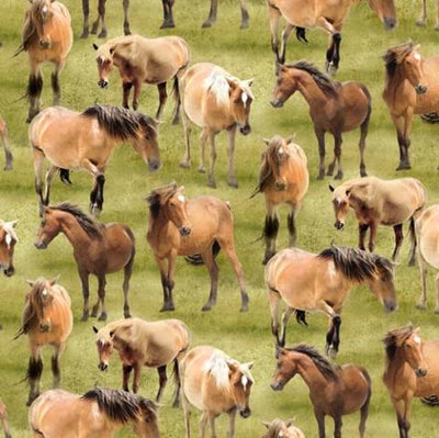 Farmyard