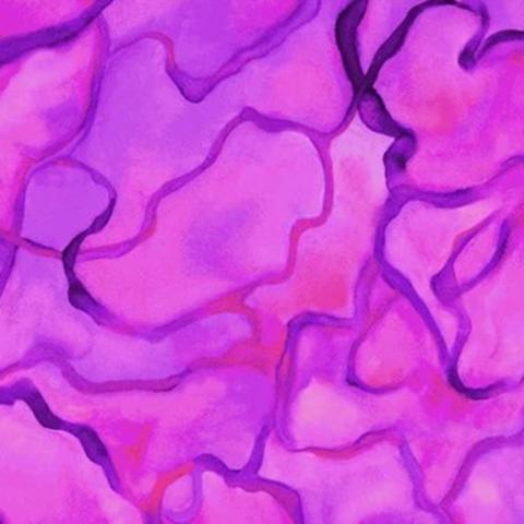 Blue and Purple  Blenders
